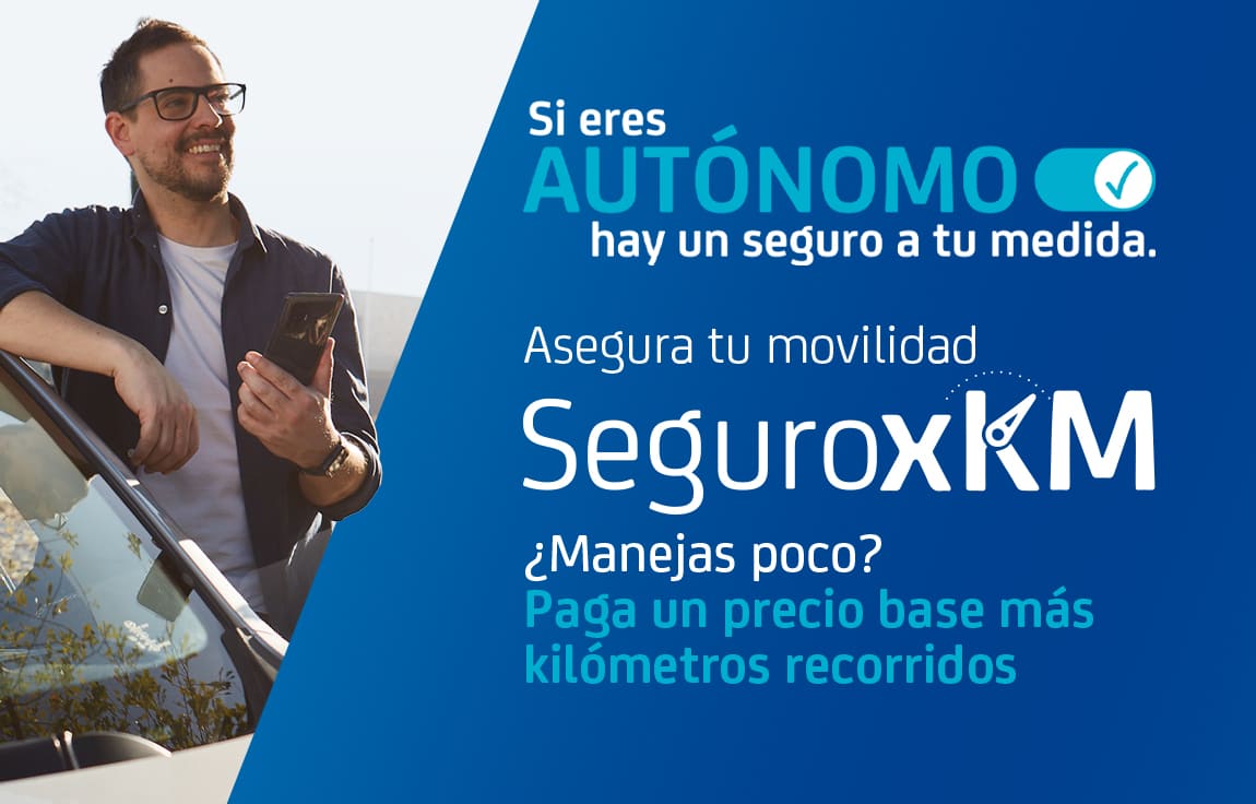 Seguro x KM