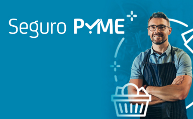 Sura Seguro Pyme